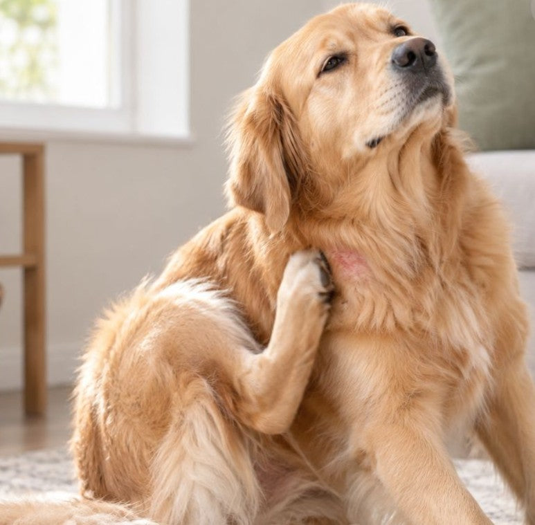 Soothes Scratchy Skin